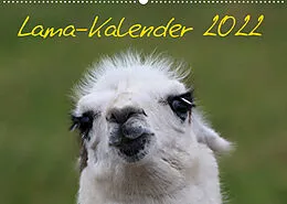 Kalender Lama-Kalender 2022 (Wandkalender 2022 DIN A2 quer) von Bernd Witkowski