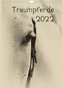Kalender Traumpferde 2022 (Wandkalender 2022 DIN A4 hoch) von vdp-fotokunst.de