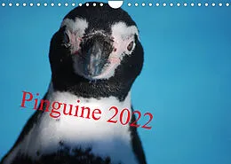 Kalender Pinguine 2022 (Wandkalender 2022 DIN A4 quer) von Ilka Groos