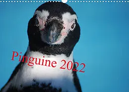 Kalender Pinguine 2022 (Wandkalender 2022 DIN A3 quer) von Ilka Groos