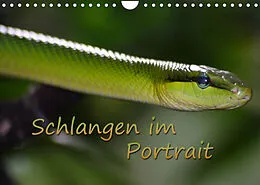 Kalender Schlangen im Portrait (Wandkalender 2022 DIN A4 quer) von Chawera