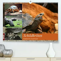 Kalender Schildkröten - Gepanzerte Urzeitwesen (Premium, hochwertiger DIN A2 Wandkalender 2022, Kunstdruck in Hochglanz) von Barbara Mielewczyk