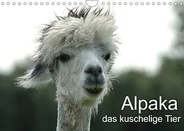 Kalender Alpaka, das kuschelige Tier (Wandkalender 2022 DIN A4 quer) von Peter Brömstrup