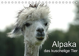 Kalender Alpaka, das kuschelige Tier (Tischkalender 2022 DIN A5 quer) von Peter Brömstrup