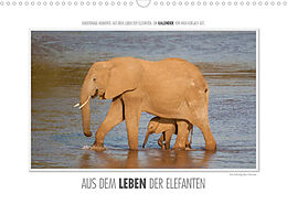 Kalender Emotionale Momente: Aus dem Leben der Elefanten. (Wandkalender 2022 DIN A3 quer) von Ingo Gerlach GDT