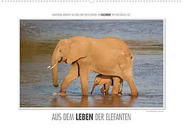 Kalender Emotionale Momente: Aus dem Leben der Elefanten. (Wandkalender 2022 DIN A2 quer) von Ingo Gerlach GDT