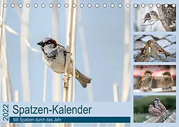 Kalender Spatzen-Kalender (Tischkalender 2022 DIN A5 quer) von Marianne Drews