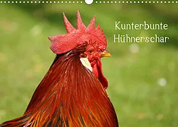 Kalender Kunterbunte Hühnerschar (Wandkalender 2022 DIN A3 quer) von kattobello