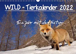 Kalender WILD - Tierkalender 2022 (Wandkalender 2022 DIN A3 quer) von Marco Colombo