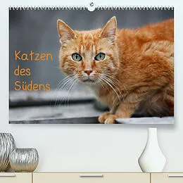 Kalender Katzen des Südens (Premium, hochwertiger DIN A2 Wandkalender 2022, Kunstdruck in Hochglanz) von Claudia Möckel / Lucy L!u