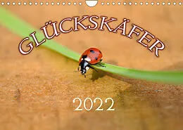 Kalender Marienkäfer 2022 (Wandkalender 2022 DIN A4 quer) von Bildagentur Geduldig