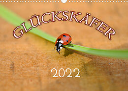 Kalender Marienkäfer 2022 (Wandkalender 2022 DIN A3 quer) von Bildagentur Geduldig