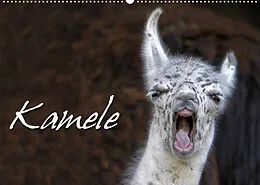 Kalender Kamele (Wandkalender 2022 DIN A2 quer) von Martina Berg