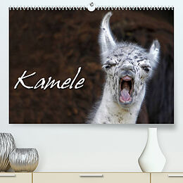 Kalender Kamele (Premium, hochwertiger DIN A2 Wandkalender 2022, Kunstdruck in Hochglanz) von Martina Berg