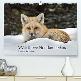 Kalender Wildtiere Nordamerikas (Premium, hochwertiger DIN A2 Wandkalender 2022, Kunstdruck in Hochglanz) von Ursula Salzmann