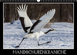 Kalender Mandschurenkraniche (Wandkalender 2022 DIN A3 quer) von Thomas Schwarz Fotografie