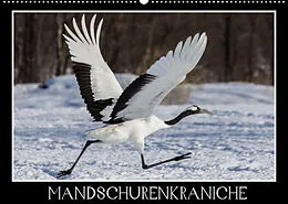 Kalender Mandschurenkraniche (Wandkalender 2022 DIN A2 quer) von Thomas Schwarz Fotografie