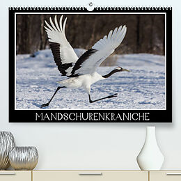 Kalender Mandschurenkraniche (Premium, hochwertiger DIN A2 Wandkalender 2022, Kunstdruck in Hochglanz) von Thomas Schwarz Fotografie