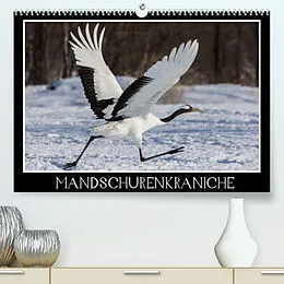 Kalender Mandschurenkraniche (Premium, hochwertiger DIN A2 Wandkalender 2022, Kunstdruck in Hochglanz) von Thomas Schwarz Fotografie