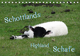 Kalender Schottlands Highland Schafe (Tischkalender 2022 DIN A5 quer) von bwd