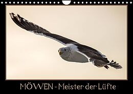 Kalender Möwen - Meister der Lüfte (Wandkalender 2022 DIN A4 quer) von Thomas Schwarz Fotografie