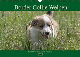 Kalender Border Collie Welpen - Kleine Wirbelwinde zum Verlieben (Wandkalender 2022 DIN A3 quer) von Volko Neitmann