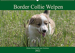 Kalender Border Collie Welpen - Kleine Wirbelwinde zum Verlieben (Wandkalender 2022 DIN A2 quer) von Volko Neitmann