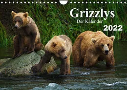 Kalender Grizzlys - Der Kalender CH-Version (Wandkalender 2022 DIN A4 quer) von Max Steinwald