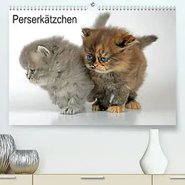 Kalender Perserkätzchen (Premium, hochwertiger DIN A2 Wandkalender 2022, Kunstdruck in Hochglanz) von Klaus Eppele