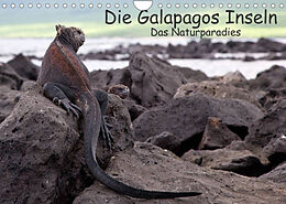 Kalender Die Galapagos Inseln - Das Naturparadies (Wandkalender 2022 DIN A4 quer) von Neetze, Akrema-Photography