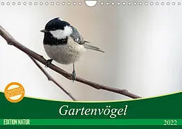 Kalender Gartenvögel (Wandkalender 2022 DIN A4 quer) von Samashy - Romy Schötz