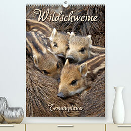 Kalender Wildschweine (Premium, hochwertiger DIN A2 Wandkalender 2022, Kunstdruck in Hochglanz) von Martina Berg