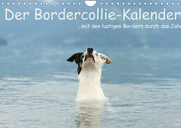 Kalender Der Bordercollie-Kalender (Wandkalender 2022 DIN A4 quer) von Kathrin Köntopp