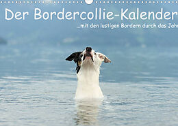 Kalender Der Bordercollie-Kalender (Wandkalender 2022 DIN A3 quer) von Kathrin Köntopp