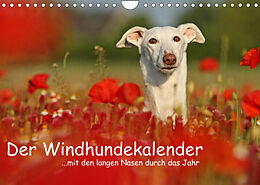 Kalender Der Windhundekalender (Wandkalender 2022 DIN A4 quer) von Kathrin Köntopp