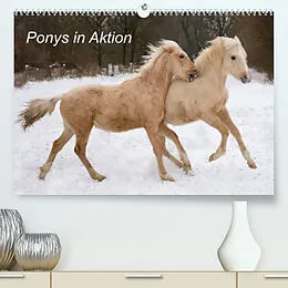 Kalender Ponys in Aktion (Premium, hochwertiger DIN A2 Wandkalender 2022, Kunstdruck in Hochglanz) von Günter Hahn