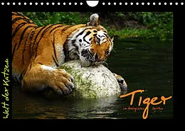 Kalender Welt der Katzen - Tiger (Wandkalender 2022 DIN A4 quer) von Marcus Skupin