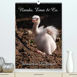 Kalender Nandu, Emu & Co. (Premium, hochwertiger DIN A2 Wandkalender 2022, Kunstdruck in Hochglanz) von Martina Berg