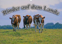 Kalender Rinder auf dem Lande (Wandkalender 2022 DIN A2 quer) von Bildagentur Geduldig