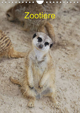 Kalender Zootiere (Wandkalender 2022 DIN A4 hoch) von AGe