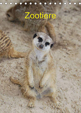 Kalender Zootiere (Tischkalender 2022 DIN A5 hoch) von AGe
