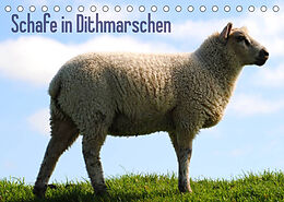 Kalender Schafe in Dithmarschen (Tischkalender 2022 DIN A5 quer) von Richard Tito