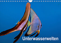 Kalender Unterwasserwelten (Wandkalender 2022 DIN A4 quer) von Dieter Gödecker