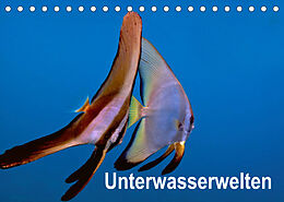 Kalender Unterwasserwelten (Tischkalender 2022 DIN A5 quer) von Dieter Gödecker