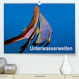 Kalender Unterwasserwelten (Premium, hochwertiger DIN A2 Wandkalender 2022, Kunstdruck in Hochglanz) von Dieter Gödecker