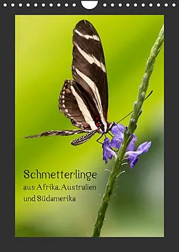 Kalender Schmetterlinge aus Afrika, Australien und Südamerika (Wandkalender 2022 DIN A4 hoch) von Wilhelm Behrends