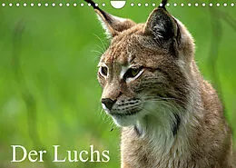 Kalender Der Luchs / Geburtstagskalender (Wandkalender 2022 DIN A4 quer) von Arno Klatt