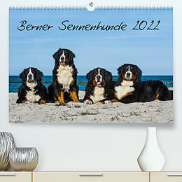 Kalender Berner Sennenhund 2022 (Premium, hochwertiger DIN A2 Wandkalender 2022, Kunstdruck in Hochglanz) von Sigrid Starick