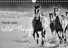 Kalender Pferde 2022 Wild Thing (Wandkalender 2022 DIN A4 quer) von Sabine Peters