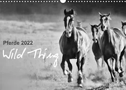 Kalender Pferde 2022 Wild Thing (Wandkalender 2022 DIN A3 quer) von Sabine Peters